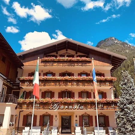 Albergo Garni Ajarnola アウロンツォ・ディ・カドーレ エクステリア 写真