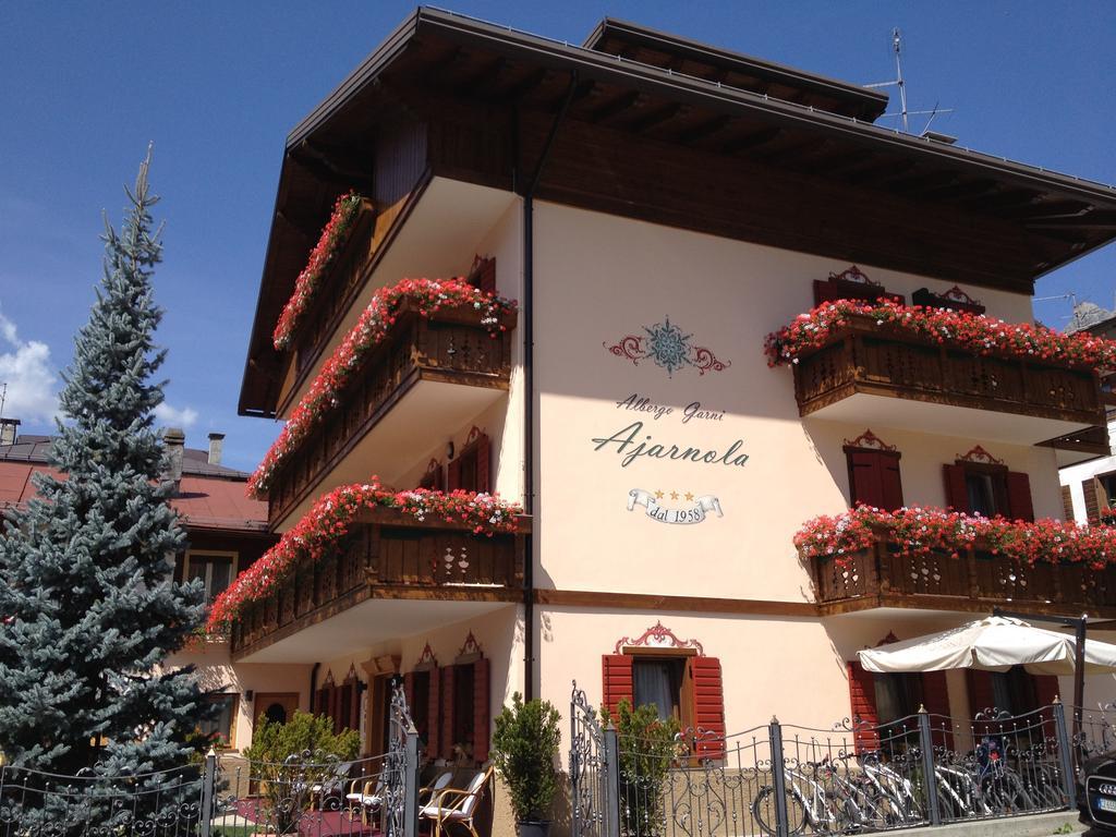 Albergo Garni Ajarnola アウロンツォ・ディ・カドーレ エクステリア 写真